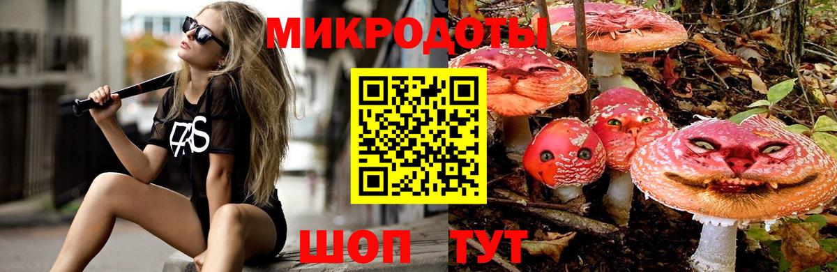 Галлюциногенные грибы Psilocybe Красноярск